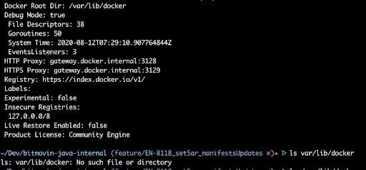 Docker Images _ Storage info output 2_Code Snippet