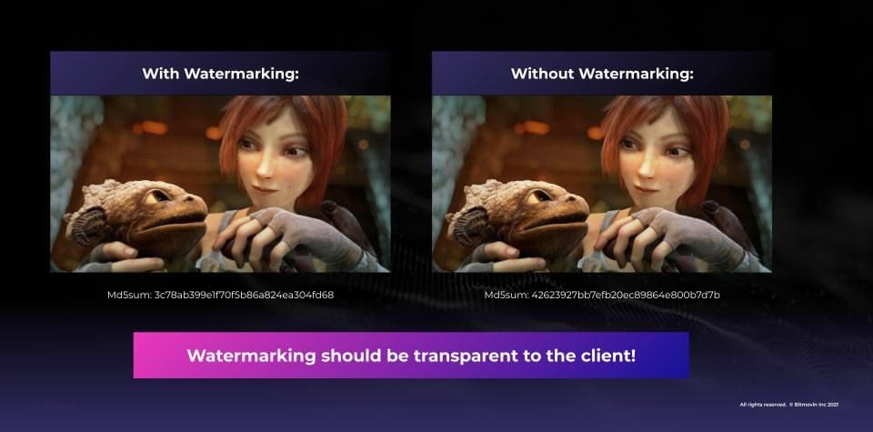 Video Watermarking: Everything You Need to Know (2023)